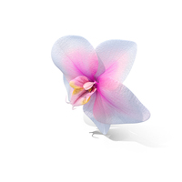 Orchid Flower PNG & PSD Images