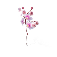 Pink Orchid Small Budded PNG & PSD Images
