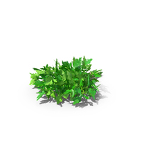 Bunch of Parsley PNG & PSD Images