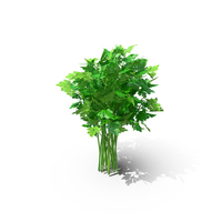 Parsley Bunch PNG & PSD Images