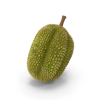 Ripe Durian Fruit PNG & PSD Images