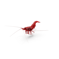 Fire Shrimp Fur PNG & PSD Images