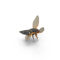 Pharaoh Cicada Takeoff Fur PNG & PSD Images