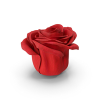 Red Rose Bud PNG & PSD Images