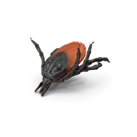 Tick Bite Pose Fur PNG & PSD Images