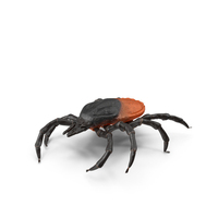 Tick Crawling Pose Fur PNG & PSD Images