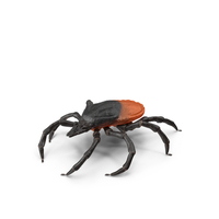 Tick Fur PNG & PSD Images