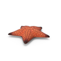 Starfish Dark PNG & PSD Images