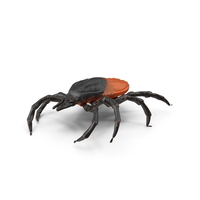 Tick Crawling Pose PNG & PSD Images
