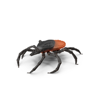 Tick PNG & PSD Images