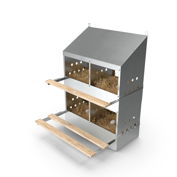 4 Hole Poultry Nest Box With Chicken Eggs PNG & PSD Images