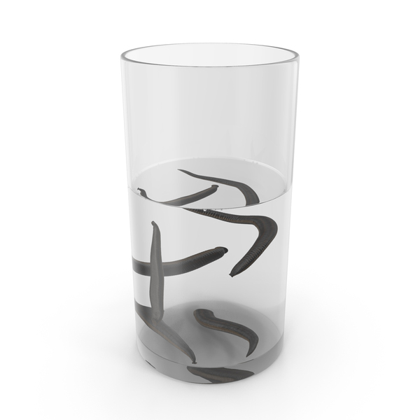 Glass Full Of Medicinal Leeches PNG & PSD Images