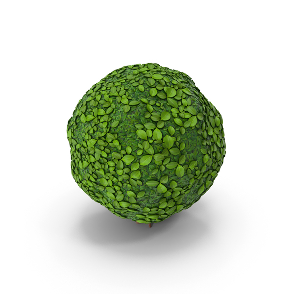 Stylized Sphere Bush PNG & PSD Images
