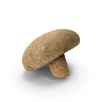 Shiitake Mushroom PNG & PSD Images