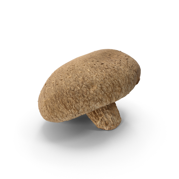 Shiitake Mushroom PNG & PSD Images