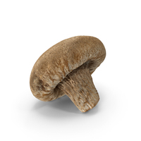 Shiitake Mushroom PNG & PSD Images