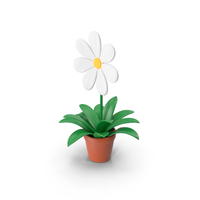 Daisy With Vase PNG & PSD Images
