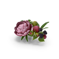 Red Floral Diadem PNG & PSD Images