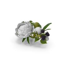 White Floral Diadem PNG & PSD Images