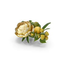 Yellow Floral Diadem PNG & PSD Images