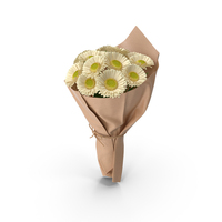 White Gerbera Bouquet PNG & PSD Images