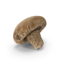Shiitake Mushroom PNG & PSD Images