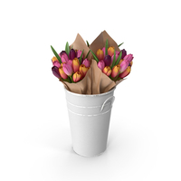 Flowers in Bucket PNG & PSD Images