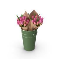 Flowers in Bucket PNG & PSD Images