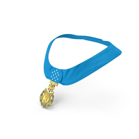 US Air Force Medal Of Honor Worn PNG & PSD Images