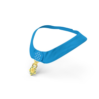 US Army Medal of Honor Worn PNG & PSD Images