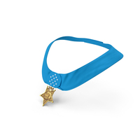 US Navy Medal Of Honor Worn PNG & PSD Images