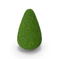 Stylized Cone Bush PNG & PSD Images