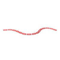 Dashed Path Outline On The Floor Red PNG & PSD Images