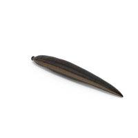 Medicinal Leech PNG & PSD Images