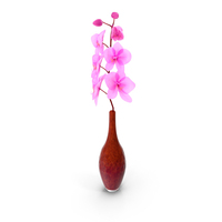 Small Pink Orchid in Glass Vase PNG & PSD Images