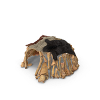 Prehistoric Mammoth Bones Hut PNG & PSD Images