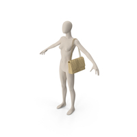 Leather Classic Womens Handbag On Manequin PNG & PSD Images