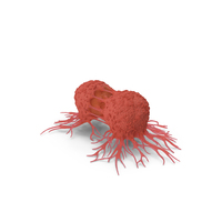 Tumor Split PNG & PSD Images