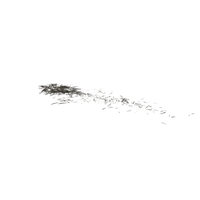 Wood Debris PNG & PSD Images