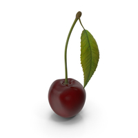 Cherry with Leaf PNG & PSD Images