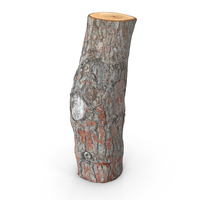 Pine Log PNG & PSD Images