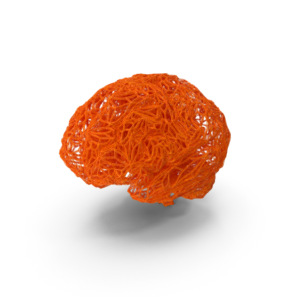 Red Wire Model of Human Brain PNG & PSD Images