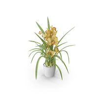 Orchid Pot Yellow PNG & PSD Images