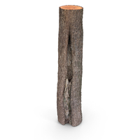 Log PNG & PSD Images