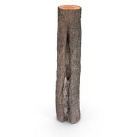 Log PNG & PSD Images