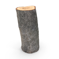 Log PNG & PSD Images