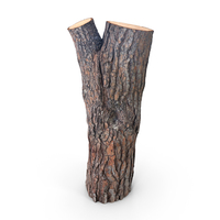 Log PNG & PSD Images