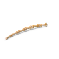 Kangaroo Red Necked Wallaby Tail Bones Caudal Vertebrae Cd11 PNG & PSD Images