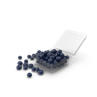 Plastic Food Box With Blueberry PNG & PSD Images