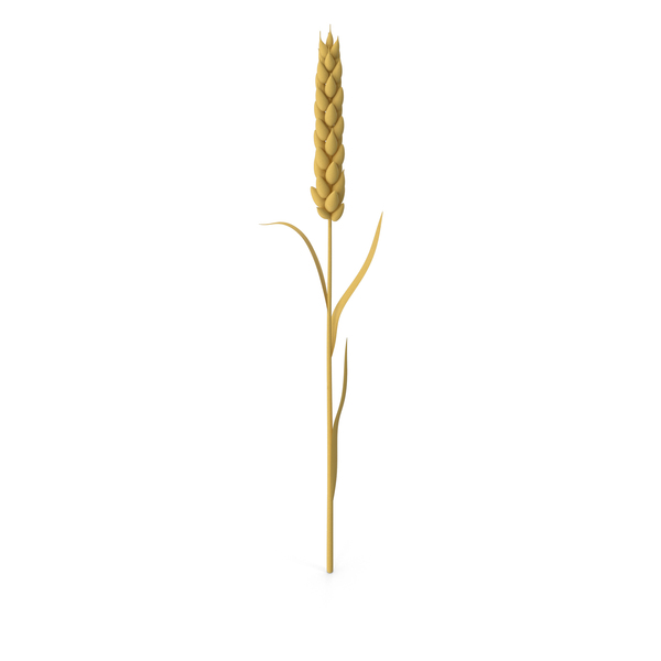 Stylized Wheat PNG & PSD Images